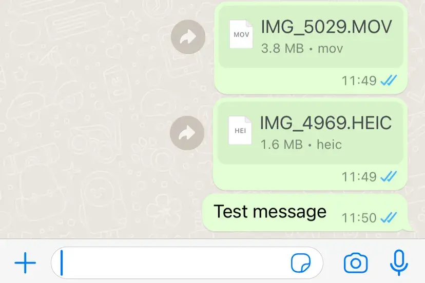 Las fotos y videos enviados como documentos no muestran una vista previa en la pantalla principal del chat.