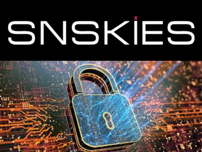 SNSKIES: حلول الأمن السيبراني المخصصة وفعاليات التواصل للشركات