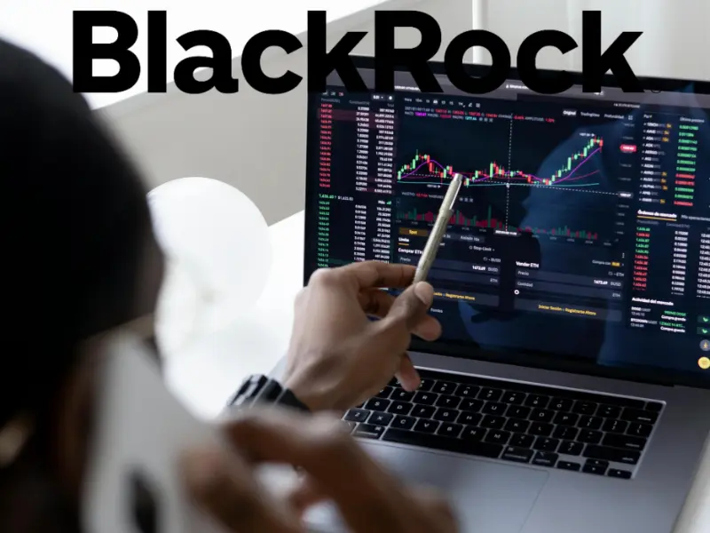 BlackRock erhält Memecoins und NFTs nach 100-Mio.-USDC-Einzahlung