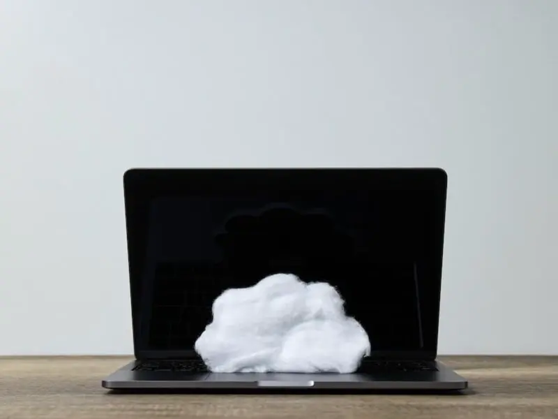 Die 2 Arten von Cloud-Backup-Methoden und ihre Vor- und Nachteile