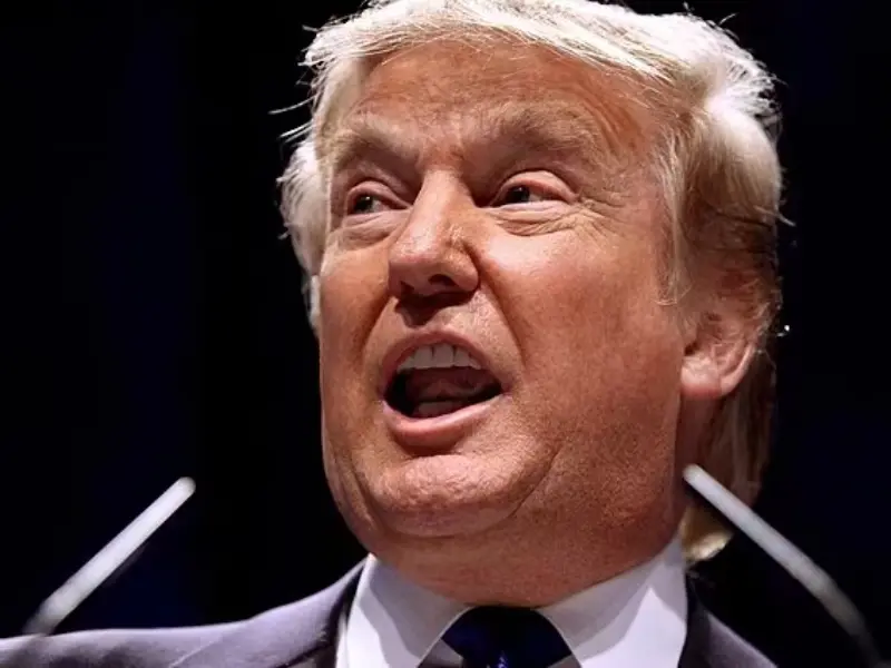 Трамп поддерживает TikTok на фоне возможного запрета в США