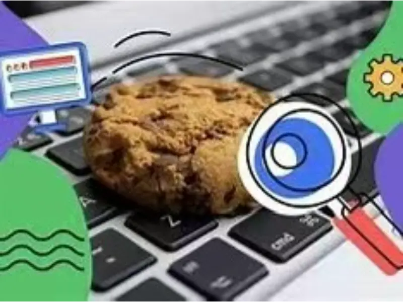 了解第三方 Cookie 的存储位置
