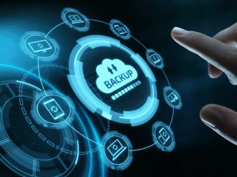 What storage and backup solutions are the most popular?