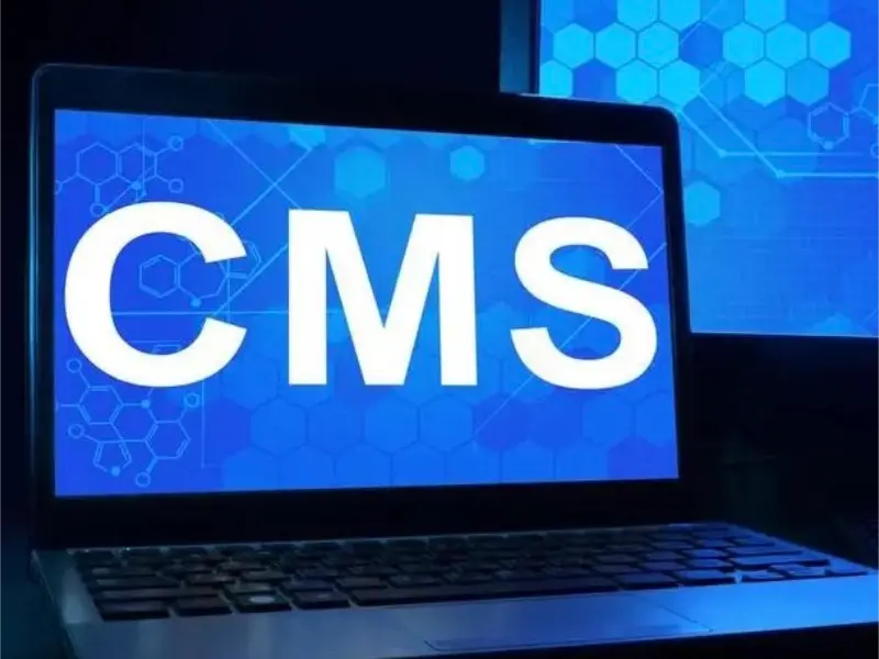 O que é interoperabilidade de CMS e por que é tão vital?