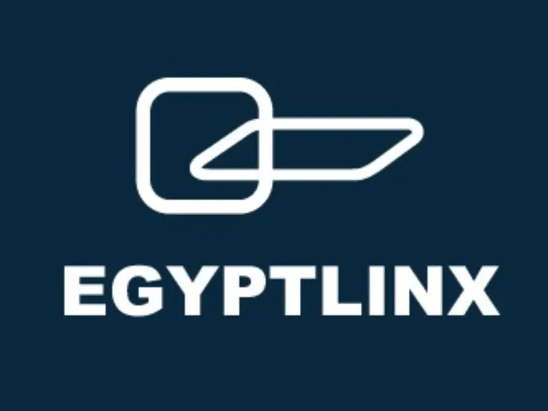 Egypt Linx for Communication Services: رائد VAS في منطقة MENA في مصر