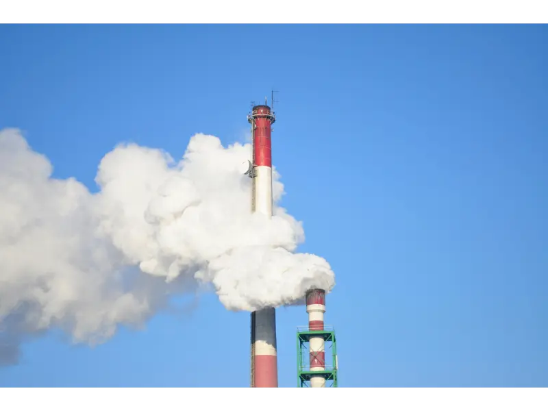 Comprender su huella de carbono: una guía para empresas