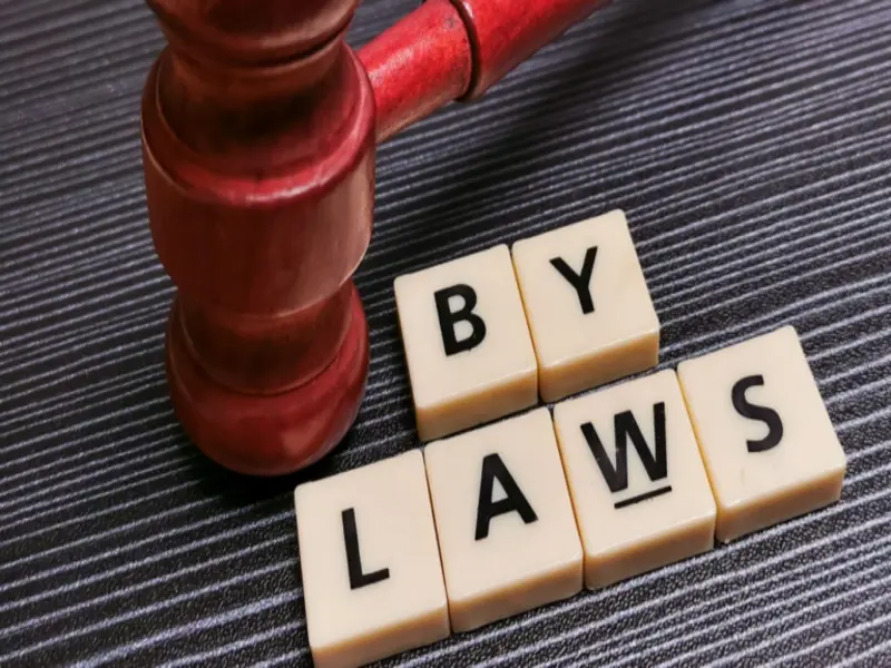 How outdated bylaws sabotaged the AFRINIC election process
