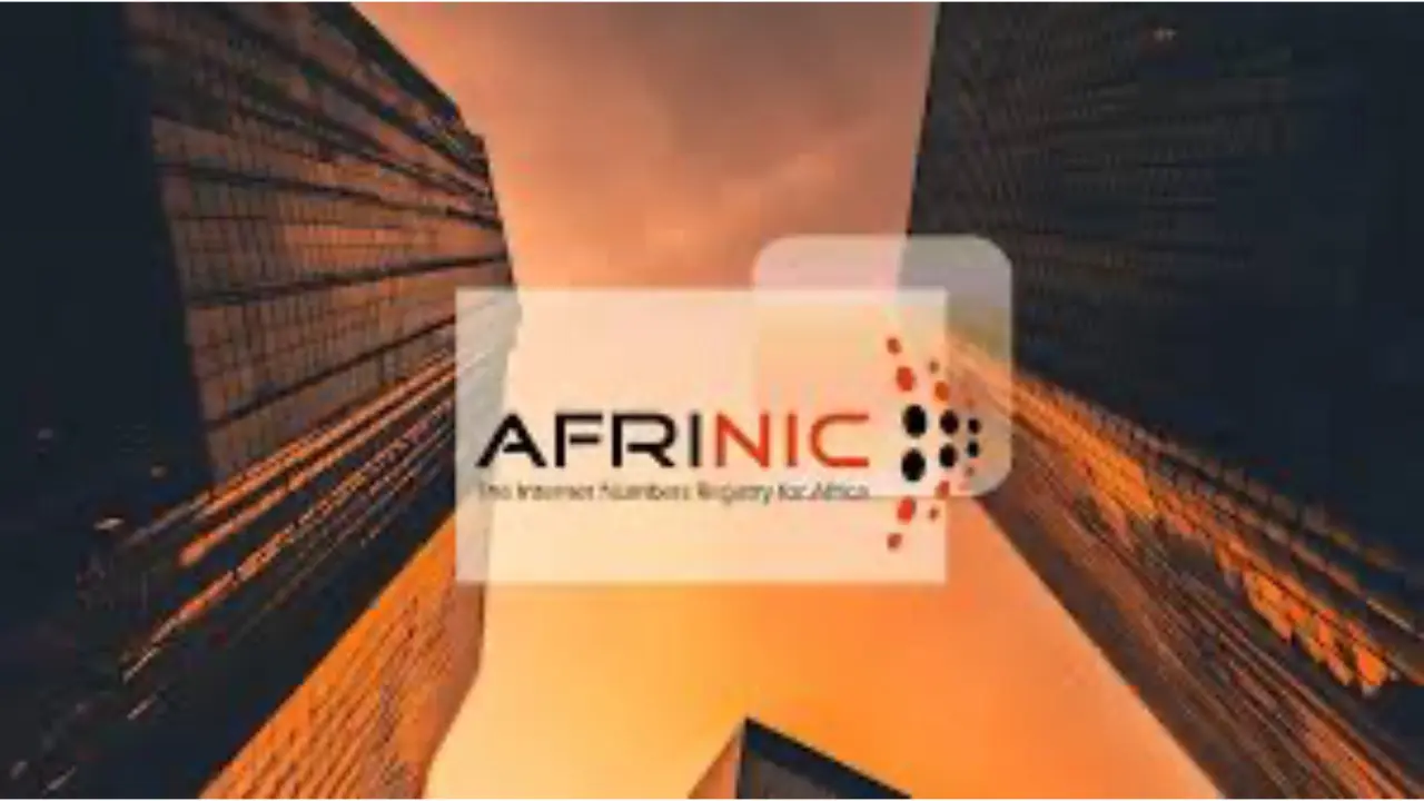 憲法危機の最中での AFRINIC 選挙における国際オブザーバーの役割