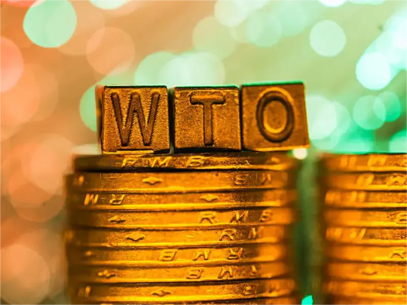 WTO-Mitglieder melden Fortschritte beim Entwurf des E-Commerce-Abkommens