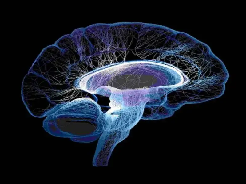 7 reasons why we use neural networks in machine learning