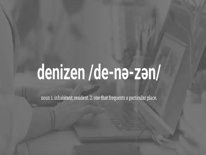 Denizen Tech:中小企業向けデジタルソリューション