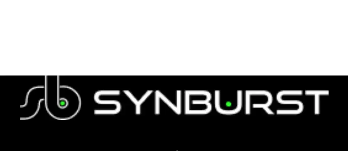 SynBurst (Pty) Ltd:中小企業向け高性能ネットワークソリューション