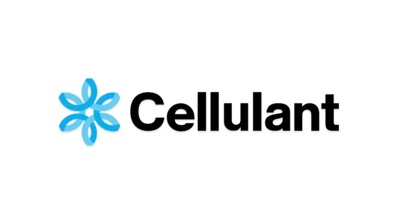 Cellulant Ltd: Digitale Zahlungen in Afrika transformieren