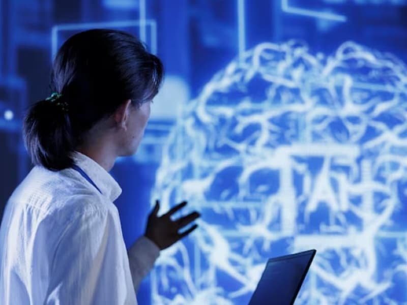 The essential role of optimisers in neural networks