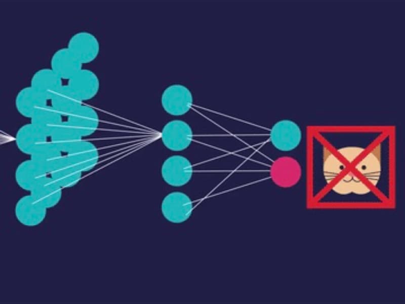 ¿Qué son las capas ocultas en las redes neuronales y qué tipos existen?