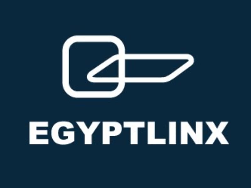 Egypt Linx for Communication Services: VAS-Pionier der MENA-Region in Ägypten