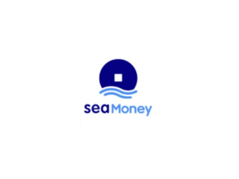 Seamoney：以数字解决方案革新支付