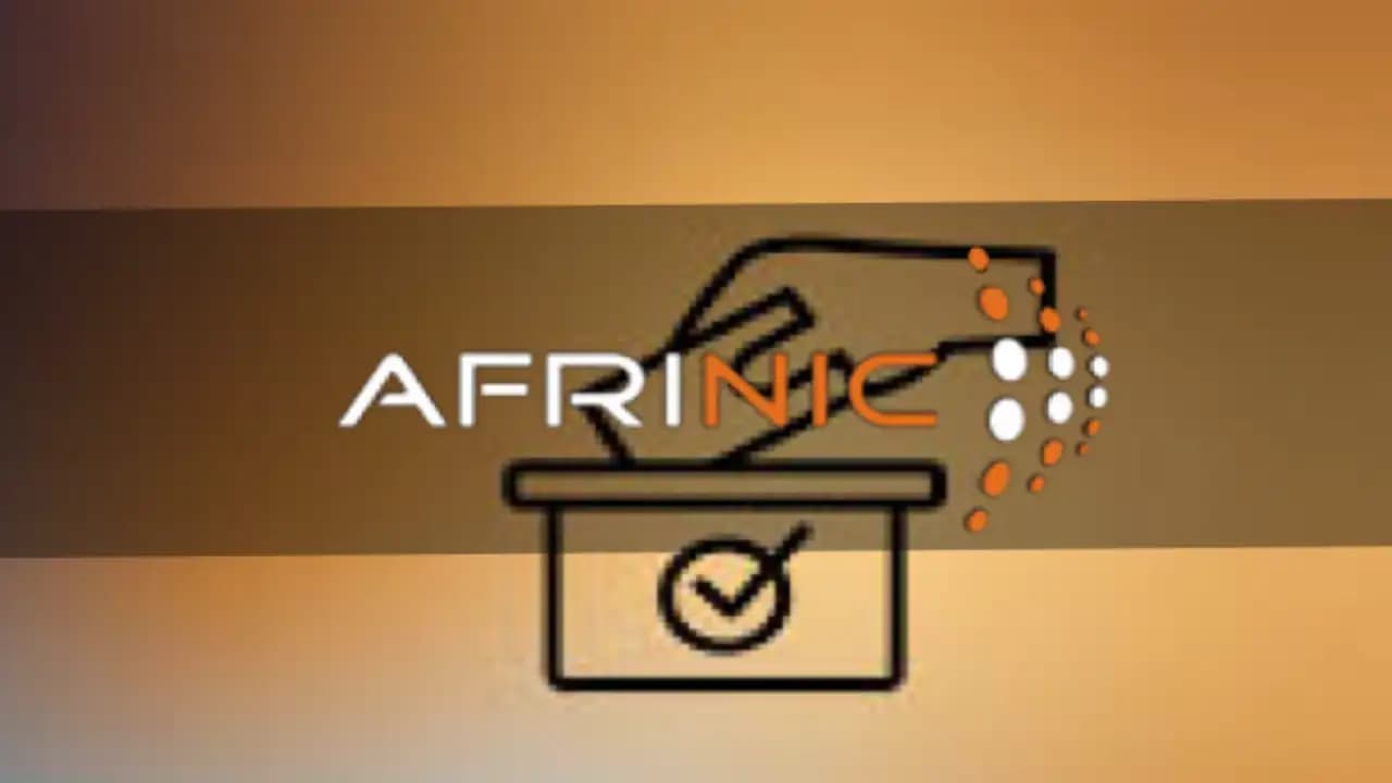 选举委员会 (ECom) 在 AFRINIC 中扮演什么角色？
