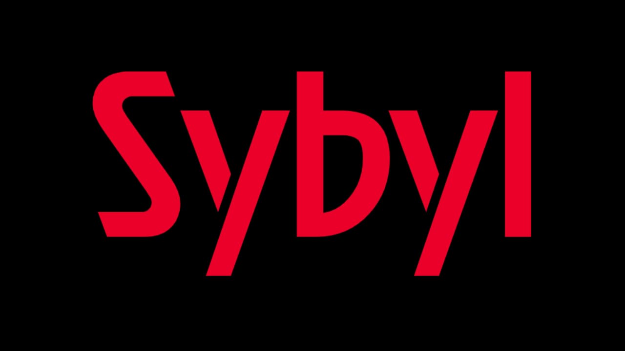 Sybyl Kenya Ltd : La transformation des entreprises par le numérique