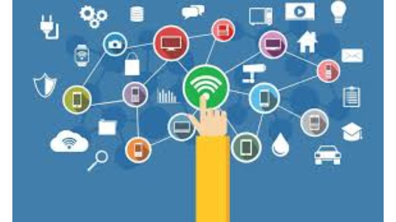 Mossnet cc: Großhandel mit Glasfaser und VoIP