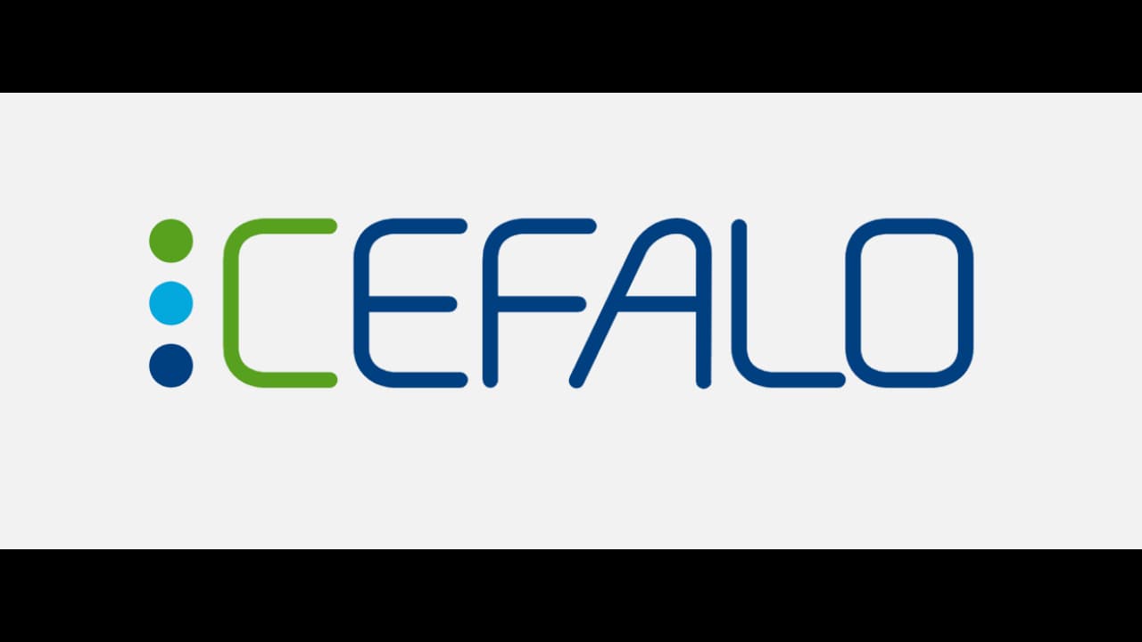 Cefalo 强化北欧-孟加拉国软件桥梁