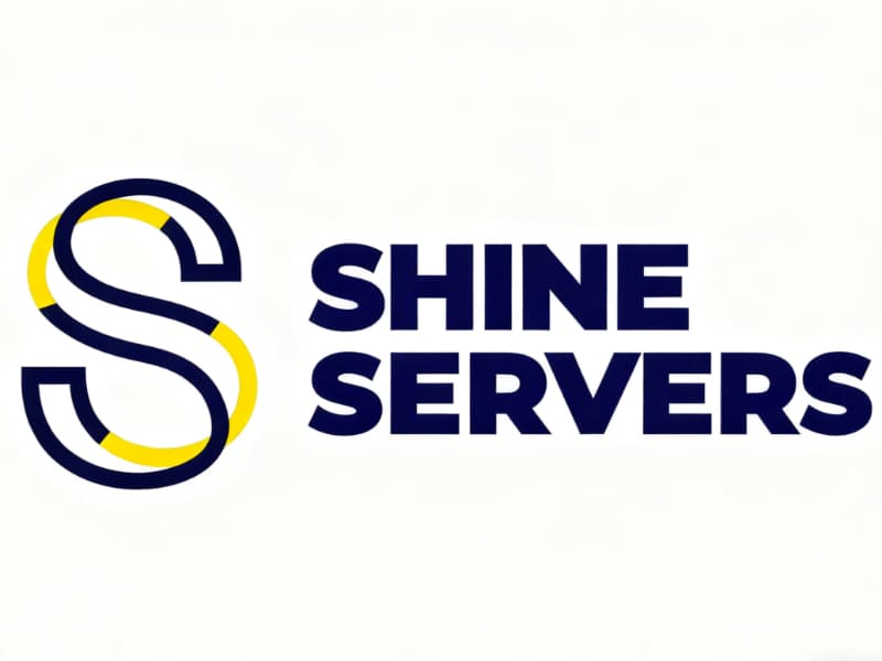 SHINE SERVERS LLP: دعم النمو الرقمي المستدام