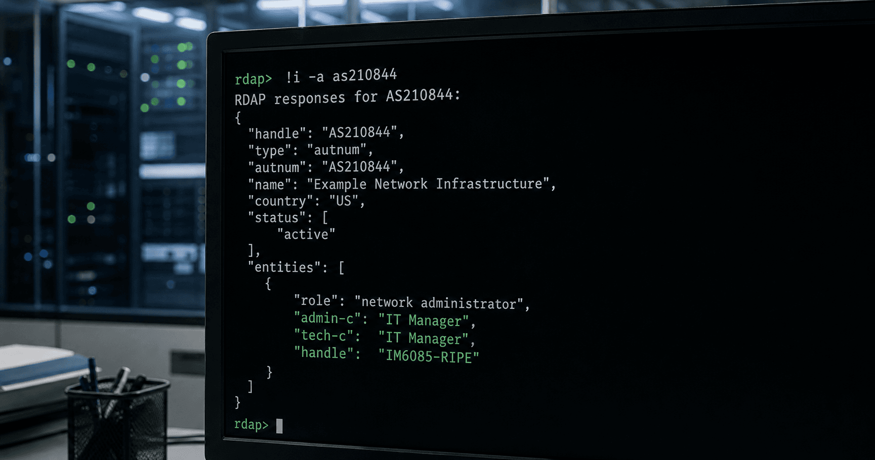 IT Manager