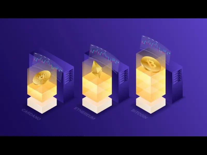 Phemex 将社区参与转化为加密货币奖励