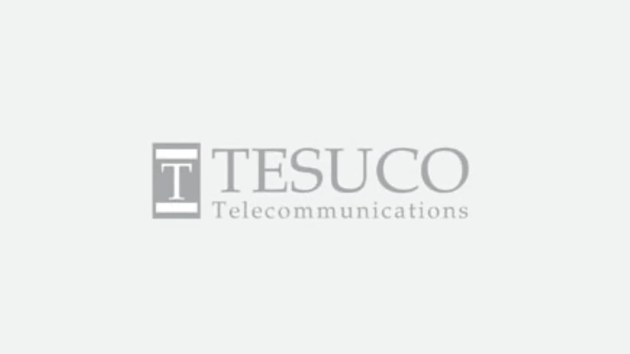 TESUCO: Aufbau von Afrikas Telekom-Backbone