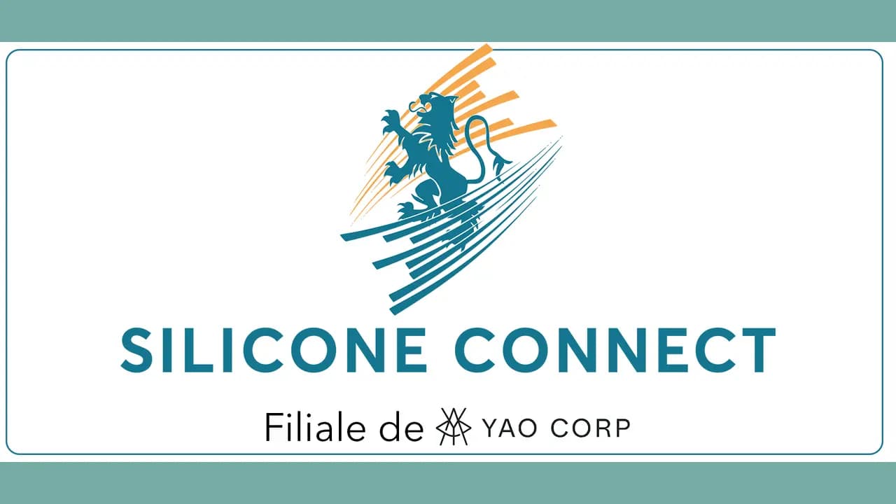 Silicone Connect : expansion des interconnexions nouvelle génération