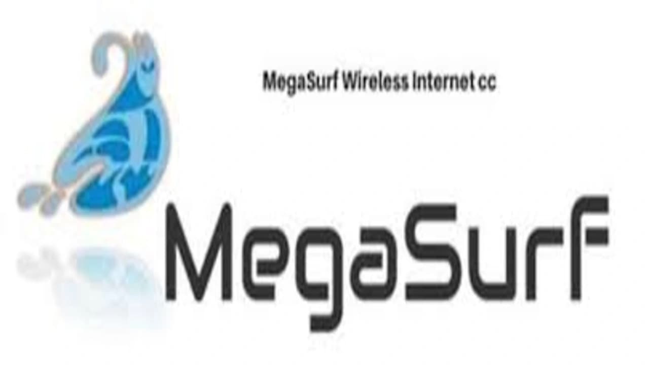 Megasurf Wireless Internet CC: Ausbau des digitalen Zugangs