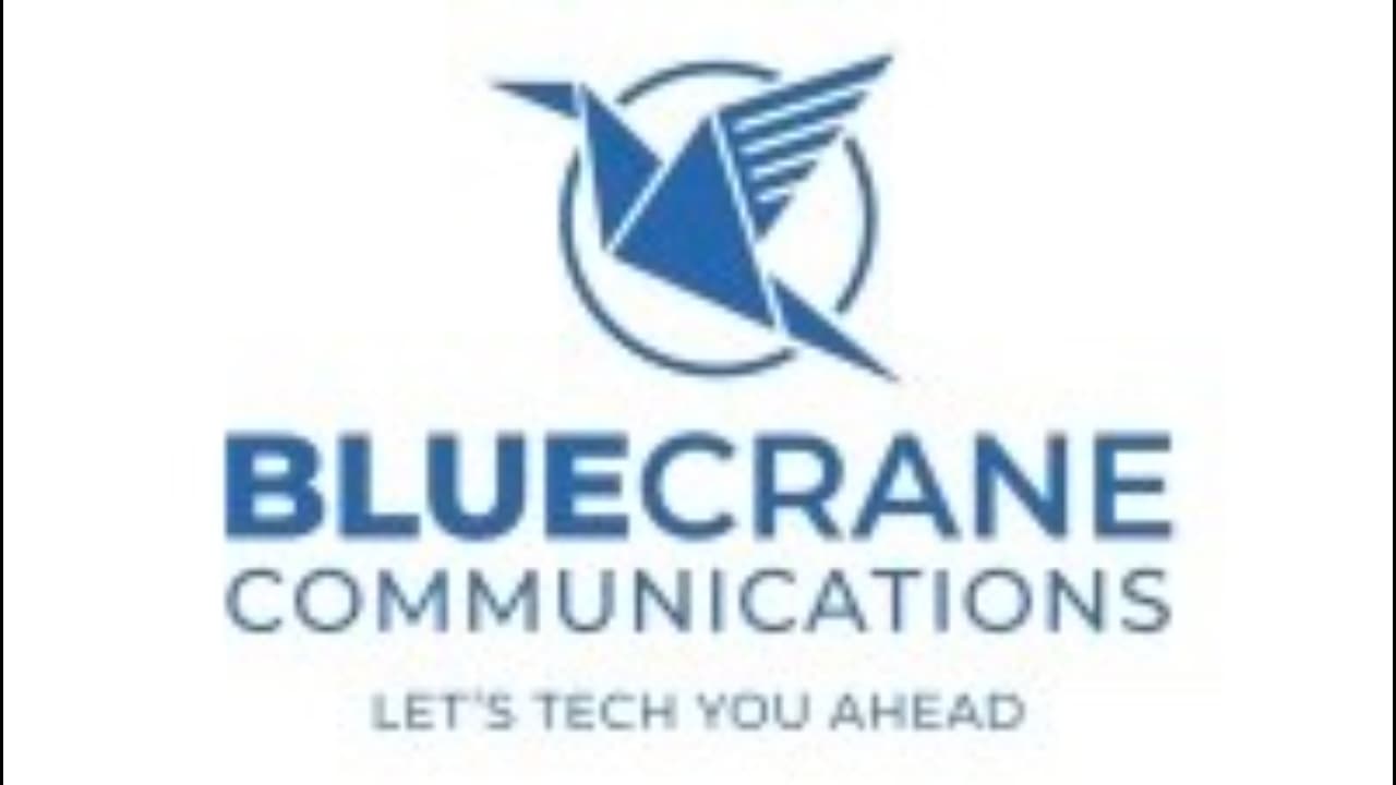 Blue Crane Communications:IT インフラの拡張