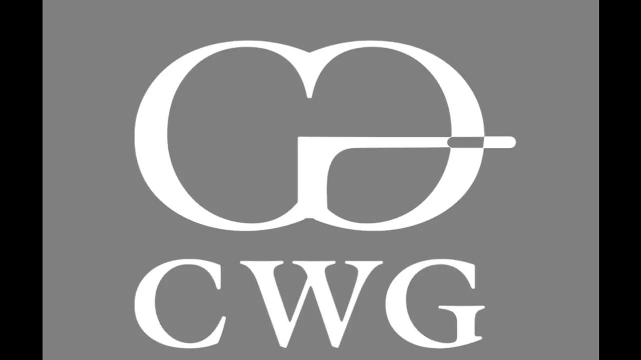 Computer Warehouse Group: Motor das soluções de TI na África