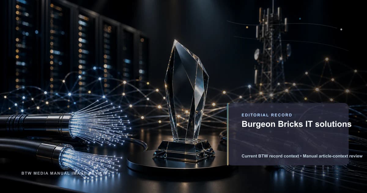 Burgeon Bricks IT 解决方案