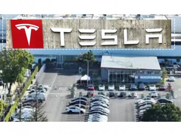 Tesla-us-factory-workers