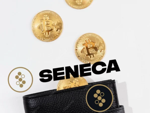 Seneca asset recover