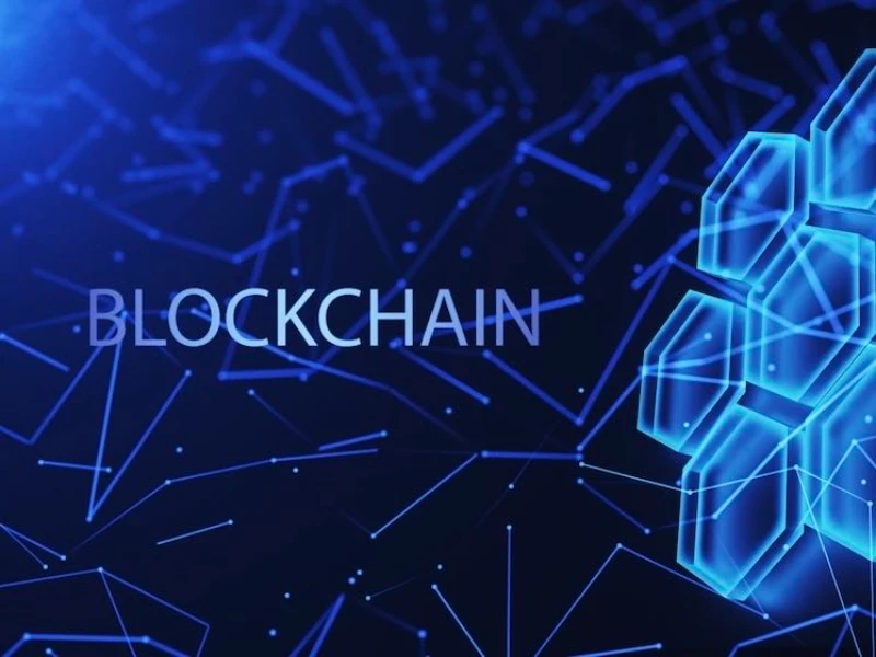 what is the purpose of blockchain technology everfi