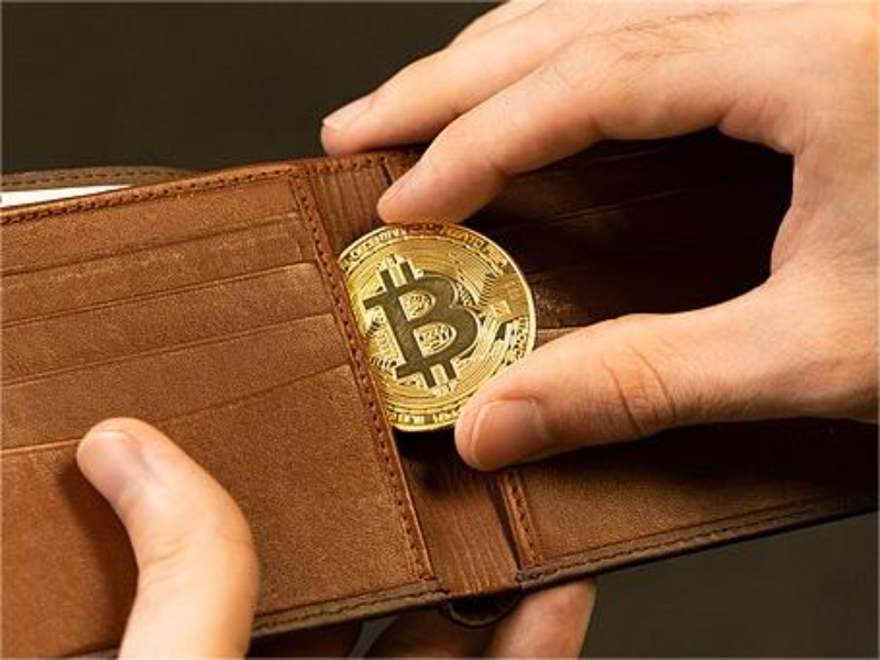 Bitcoin_Medallion_in_Wallet