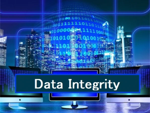 01-08-data-integrity