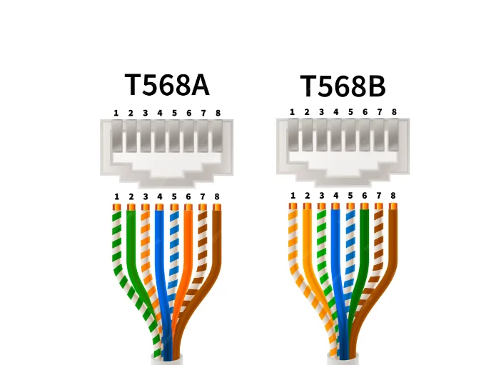 T568A and T568B