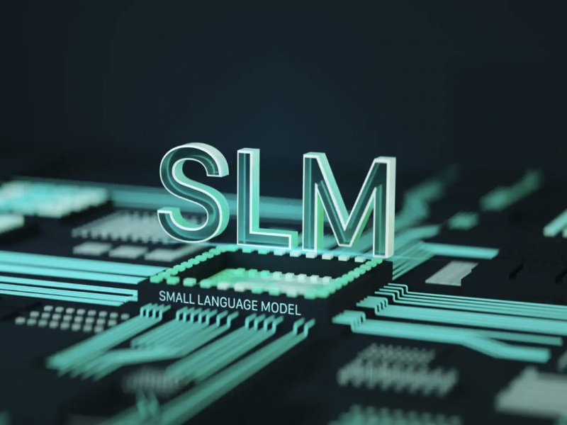 SLM