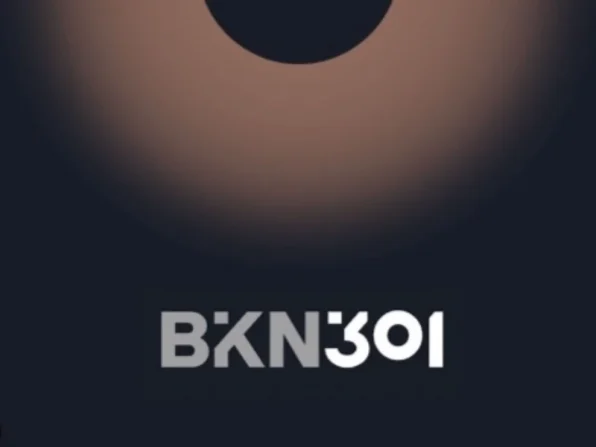 BKN301