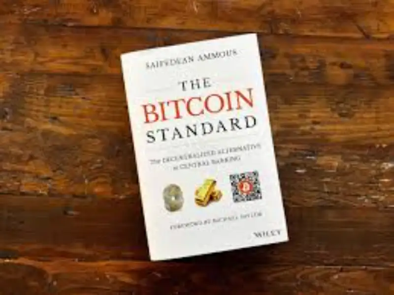 Bitcoin author Saifedean Ammous