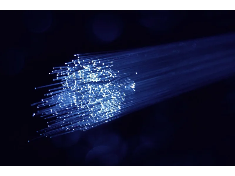 fiber-network