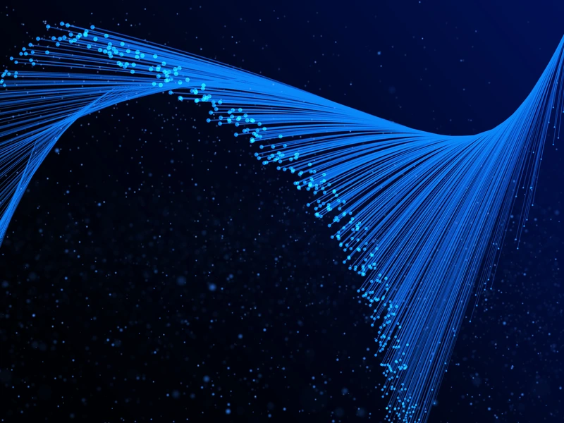 fibre