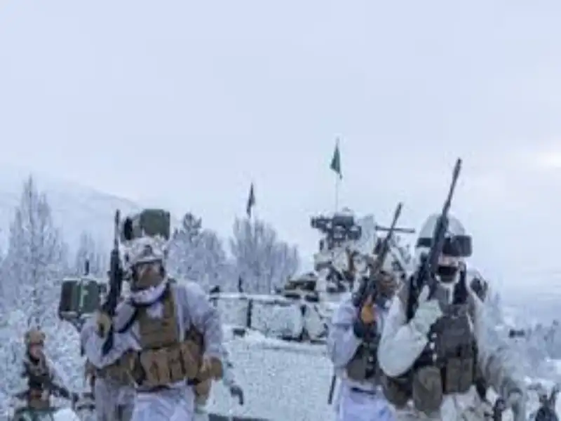 Joint Viking 2025 military exercise