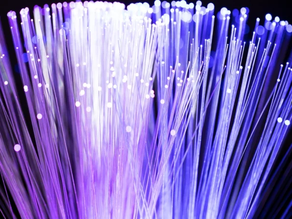 fiber