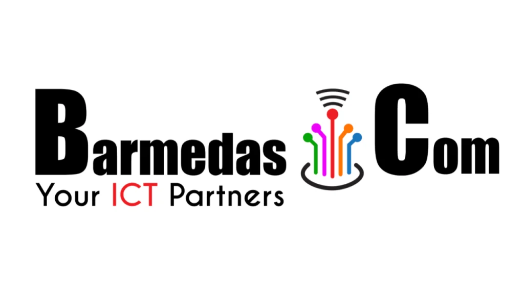 Barmedas.com nurtures Mwanza’s ICT ecosystem Barmedas.com Ltd-Mwanza ICT services